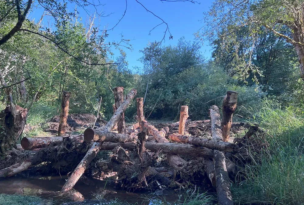 Skookum Creek RM 6.5 Project